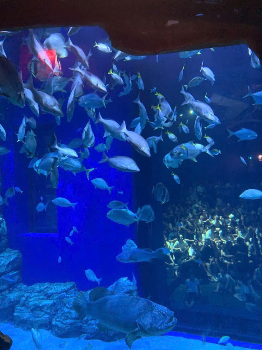 河內家庭一日遊