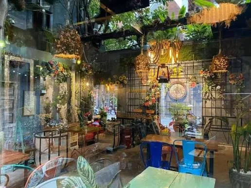 Jungle Coffee