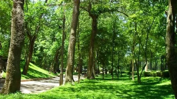 百草公園