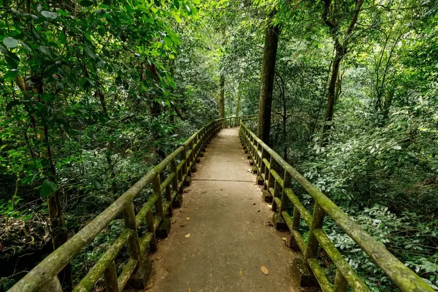 菊芳國家公園 (Cuc Phuong National Park)