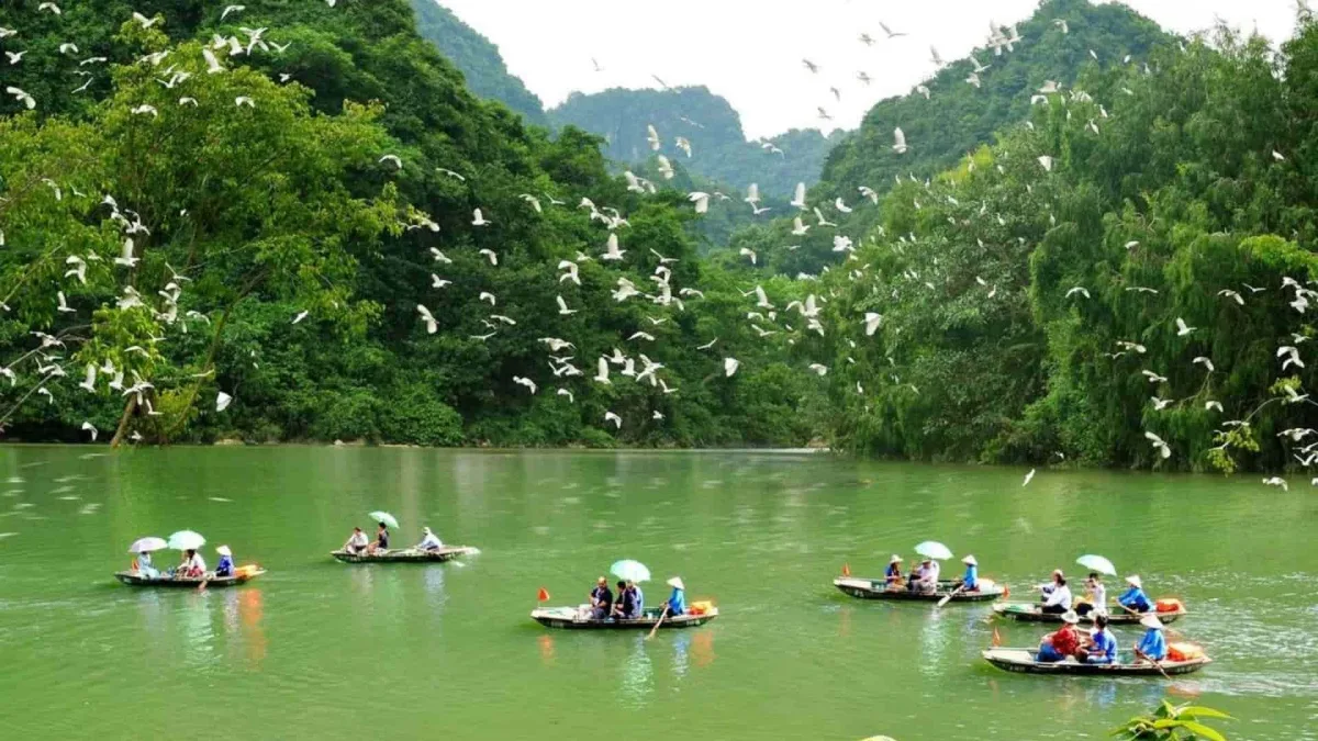 沖岩鳥園生態旅遊區
