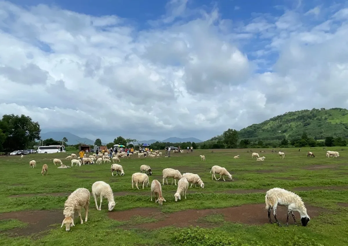 藝溪羊村山丘 (Doi Cuu Suoi Nghe)